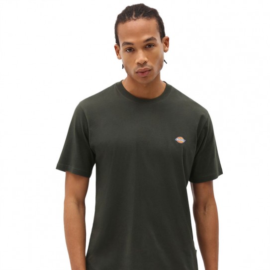 T shirt Dickies Mapleton kaki