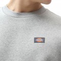 Sweat à capuche Dickies Oakport gris chiné