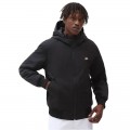 Veste Dickies New Sharpy Noir