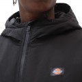 Veste Dickies New Sharpy Noir