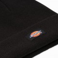 Bonnet Dickies Gibsland Noir