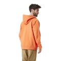 Sweat Zippé PICTURE Nihi Zip Hood Dusty Orange