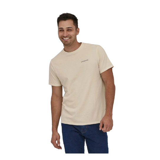 Tee Shirt PATAGONIA Fitz Roy Icon Birch White