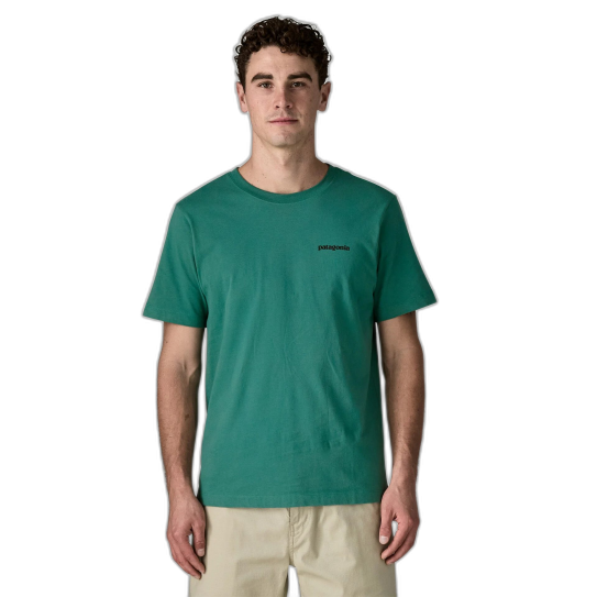 Tee Shirt PATAGONIA P-6 Logo Gem Green