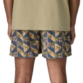 Short PATAGONIA 5IN Jaguar Geo