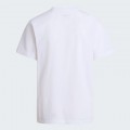 Tee Shirt THE NORTH FACE Simple Dome Evolution White