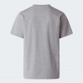 Tee Shirt THE NORTH FACE Simple Dome Pale Grey