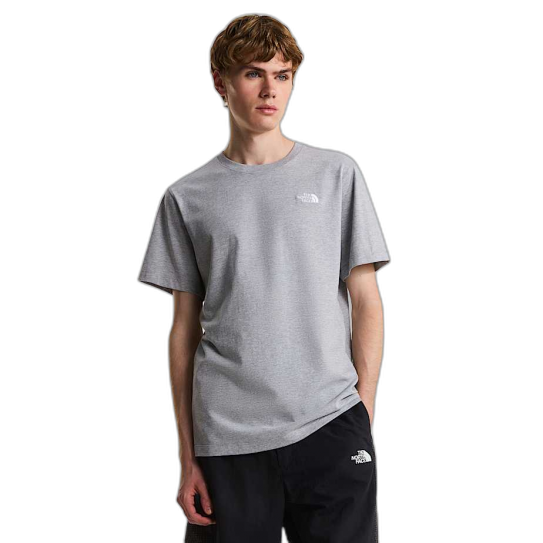 Tee Shirt THE NORTH FACE Simple Dome Pale Grey