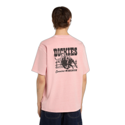 Tee Shirt DICKIES Buchtell Bridal Rose