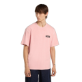 Tee Shirt DICKIES Buchtell Bridal Rose