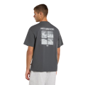Tee Shirt DICKIES Wolfhurst Gris Charbon