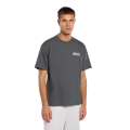 Tee Shirt DICKIES Wolfhurst Gris Charbon
